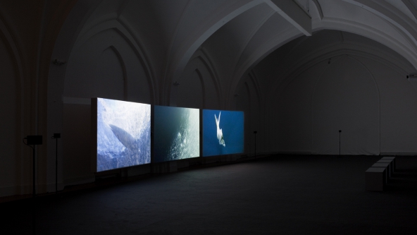 John Akomfrah "Vertigo Sea" (2015). Installationsview. Nikolaj Kunsthal. Foto: Léa Nielsen